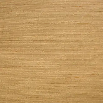Modern Silk MR-FV-21X10