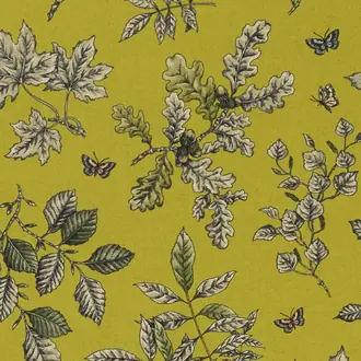 Hortus F1329-03