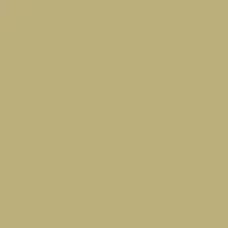 Caraway Green Paint