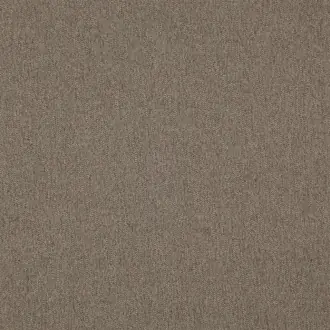Berrier FDG2736-07