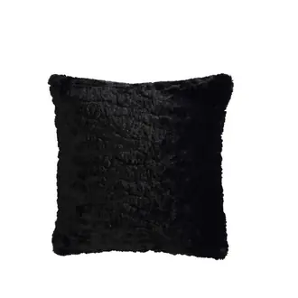 Banquise CO40501