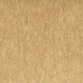 Fenice AC113-003