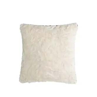 Banquise CO41701