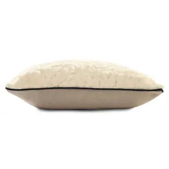 Banquise CO41701