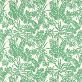 Parlour Palm 120768