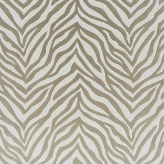 Wild Shape CH3260-071