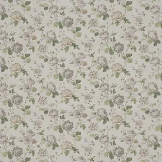 Chantilly Daisy