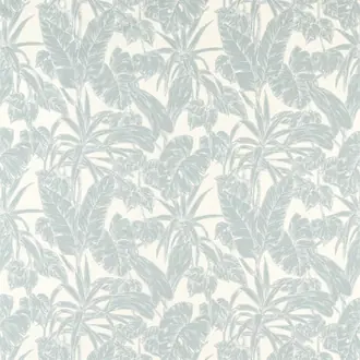 Parlour Palm 120769