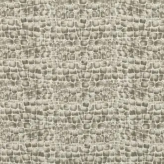 Tortuga Taupe Z469-02