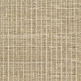 Brighton Weave 31701