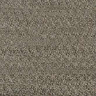 Salsa Two Spot PF50424-925