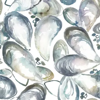 Mussel Shells MUSSELSHELLS-1018