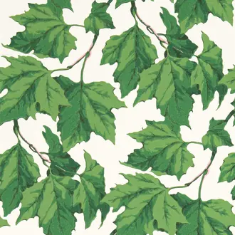 Dappled Leaf HSRW113045