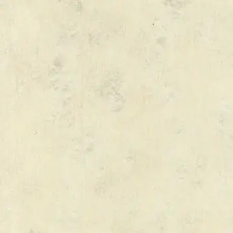 Floe 05 Champagne