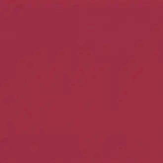 Salsa Framboise D1038 40 02
