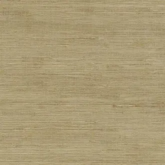 Silas PRL5031-01