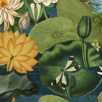 Lotus Blossom WP20723