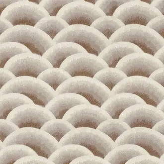 Arcus 10150242