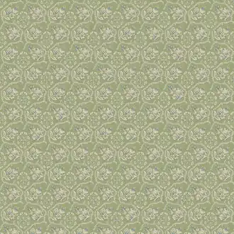 Pagelle NCF4623-03