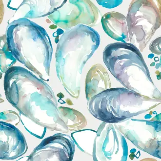 Mussel Shells MUSSELSHELLS-1036