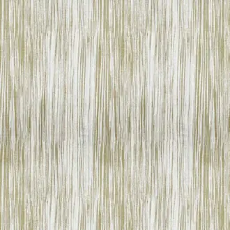 Willow Silver Birch