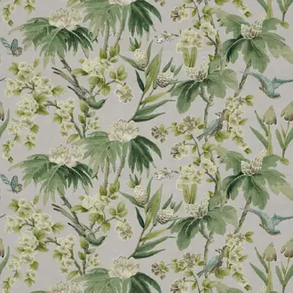 Bird & Blossom Jungle