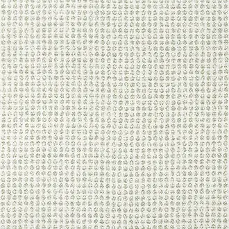 Remy Dot W8703