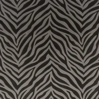 Wild Shape CH3260-092