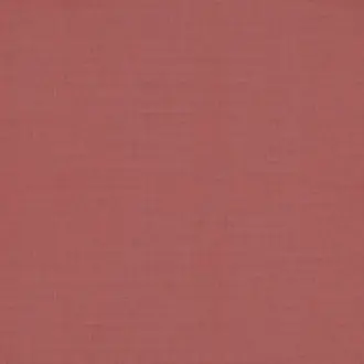 Arizona 252 15 31