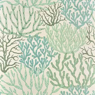 Acropora FP009002