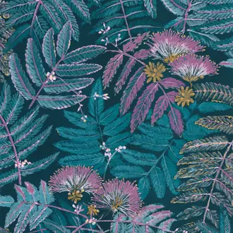 Botanica Albizia 85896164