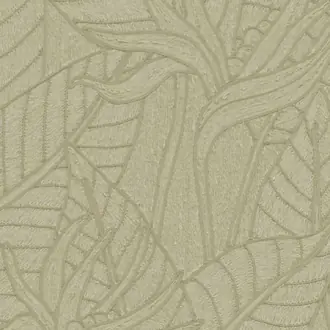 Strelitzia 60740