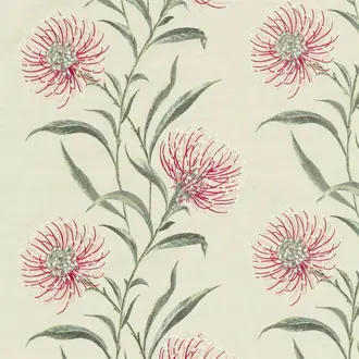 Catherinae Embroidery 237187