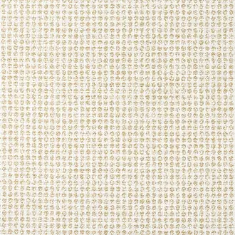 Remy Dot W8701
