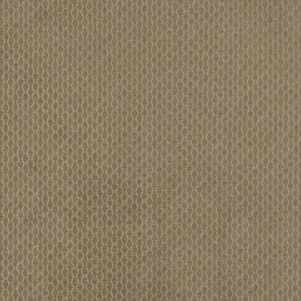 Barbosa 84025-76