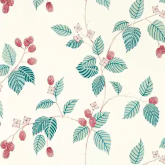 Rubus DABW217228