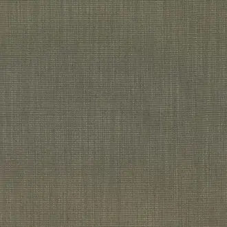 Tatami 11