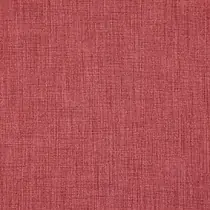 Shaldon 63 Peony