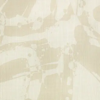Vandal WK813-01