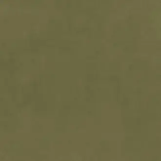 Eco-Velvet Olive