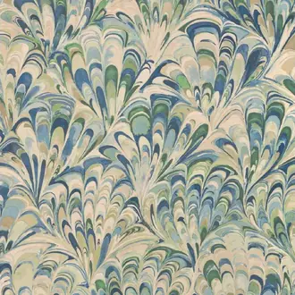 Ellis Paper P2025121-530