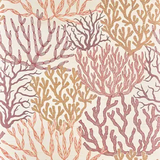 Acropora FP009001