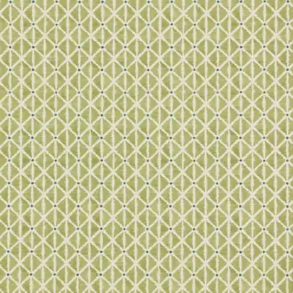 Kira Pistachio