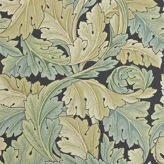 Acanthus 212550