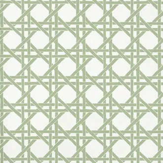 Canary Trellis T15820
