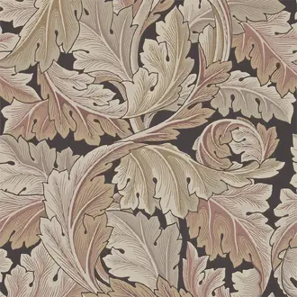 Acanthus 212551