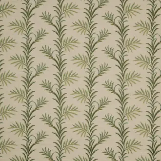Kala Spruce