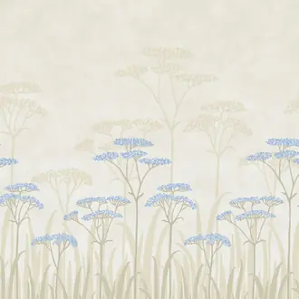 Achillea Dew