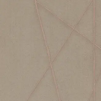 Entanglement EN105