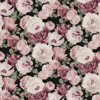 Rosegarden KEN001